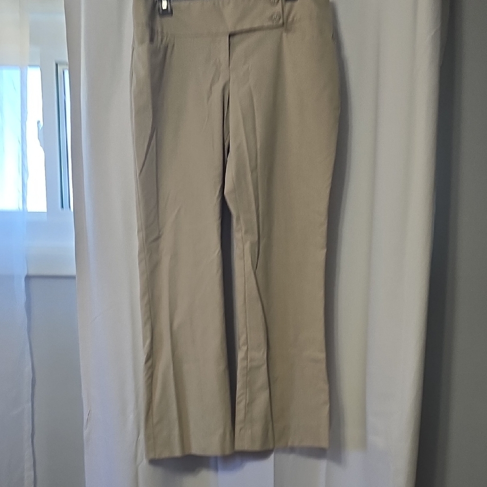 The Limited Tan Straight Leg Pants